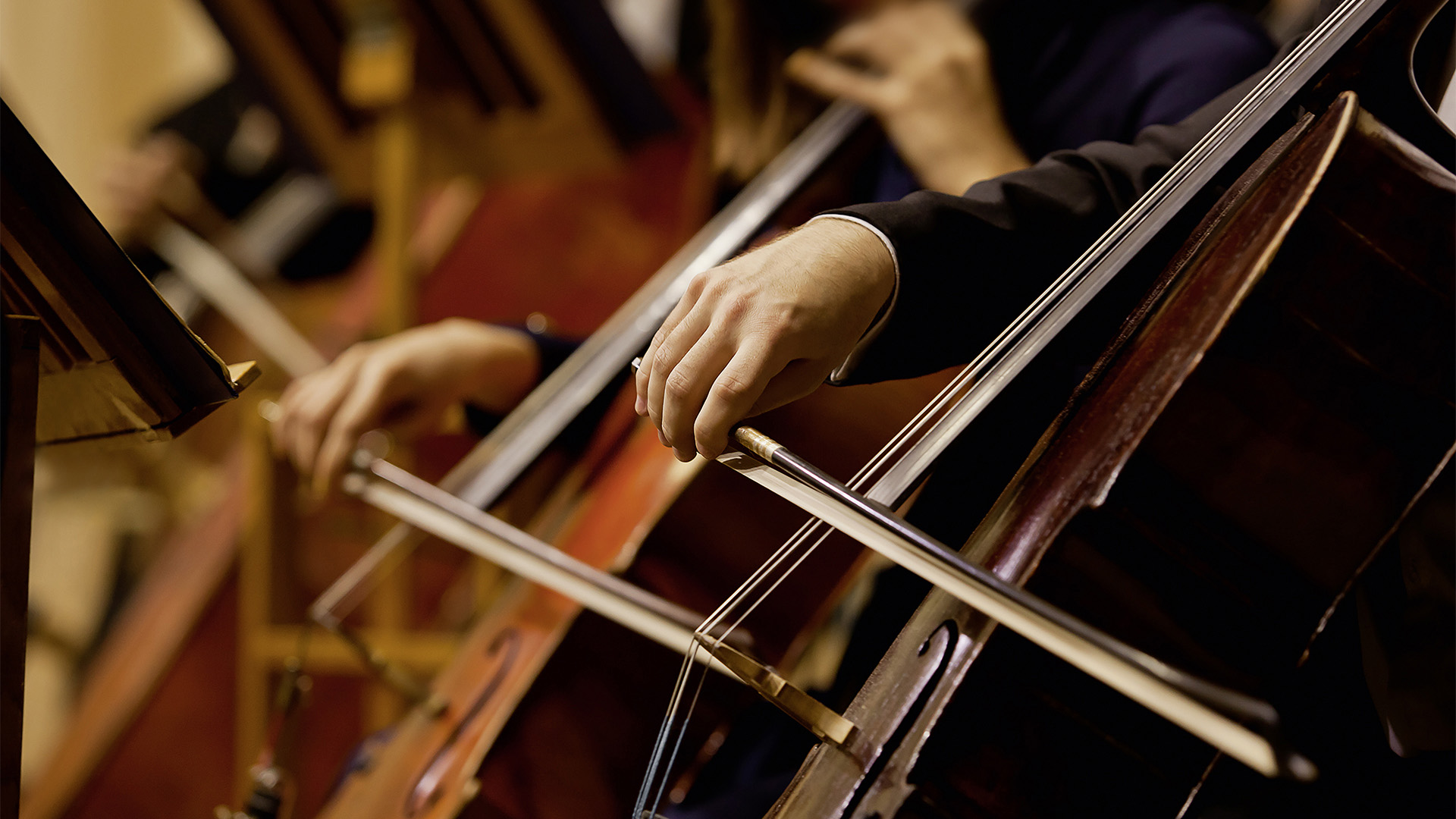 Orchester-Auftritt Streicher Westfalen Weser