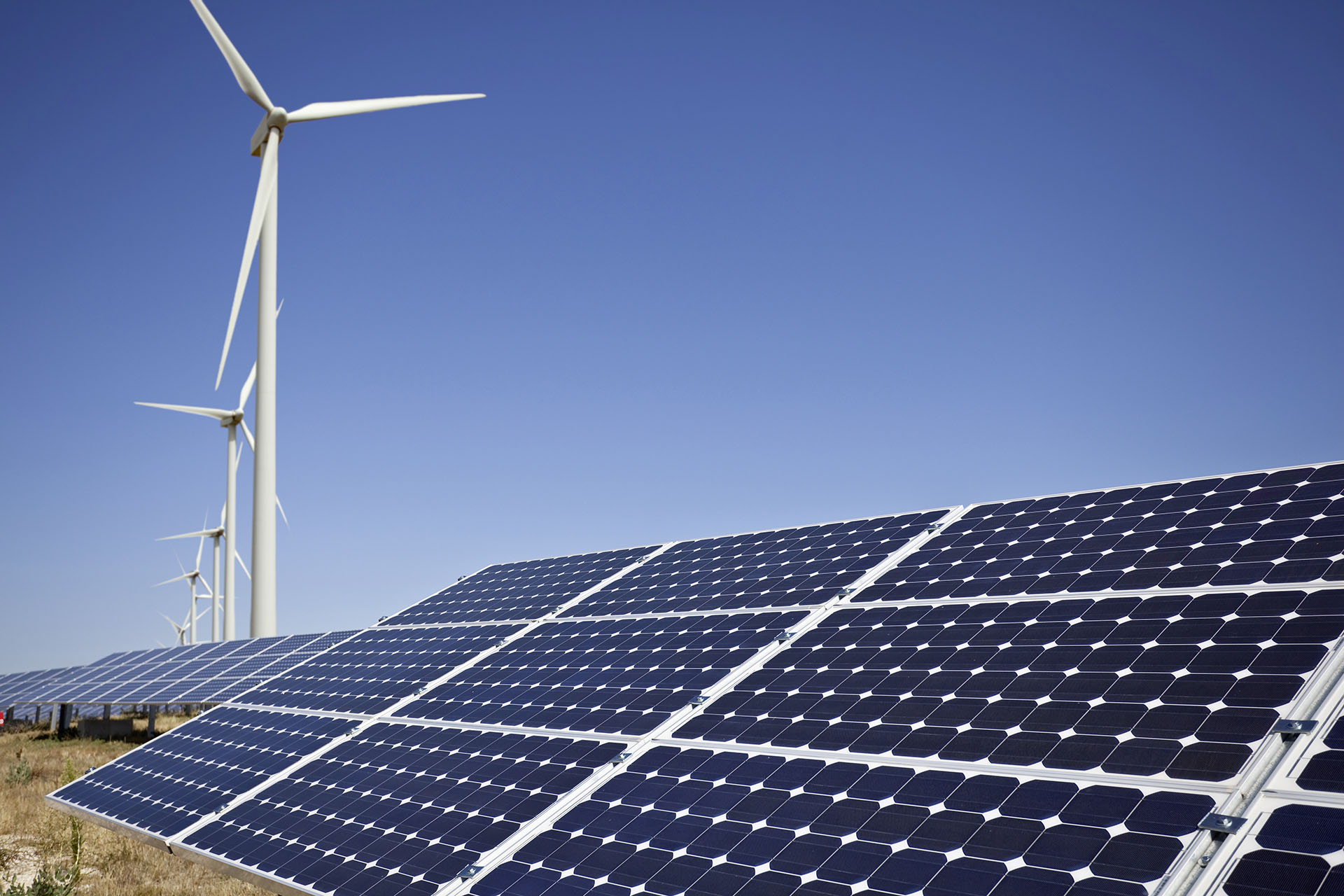 WWB Beteiligungen Photovoltaikanlage mit Windrädern im Hintergrund bei blauem Himmel