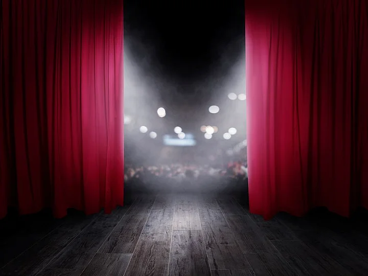 Westfalen Weser Kulturpreis Preisverleihung Roter Vorhang auf einer Bühne mit Blick auf das unscharfe Publikum