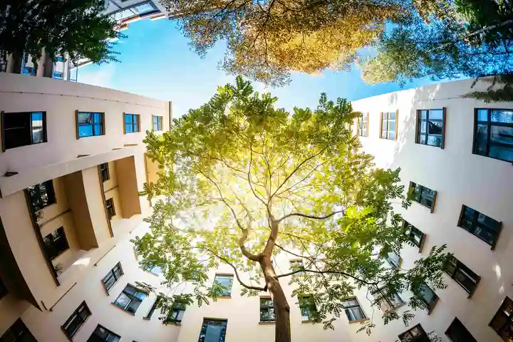 Gebäudekomplex mit einem Baum in der Mitte