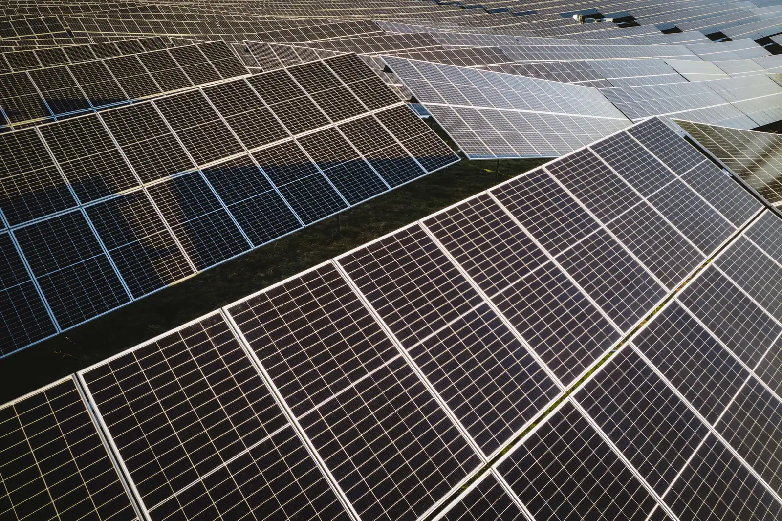 Mehrere große Photovoltaikanlagen stehen auf einer Wiese und werden von der Sonne angestrahlt.