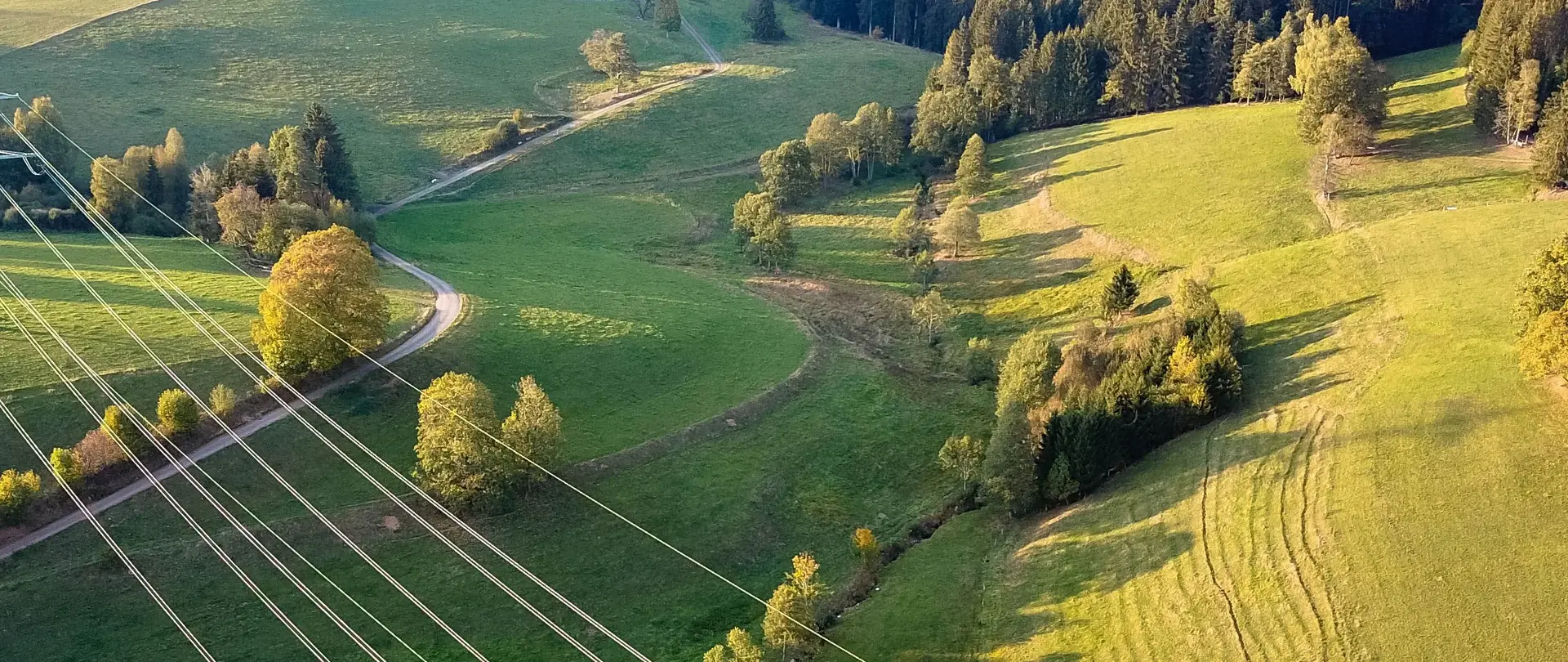 Das Bild zeigt Stromleitungen, die sich durch eine grüne, ländliche Landschaft mit Wiesen und Hügeln ziehen.