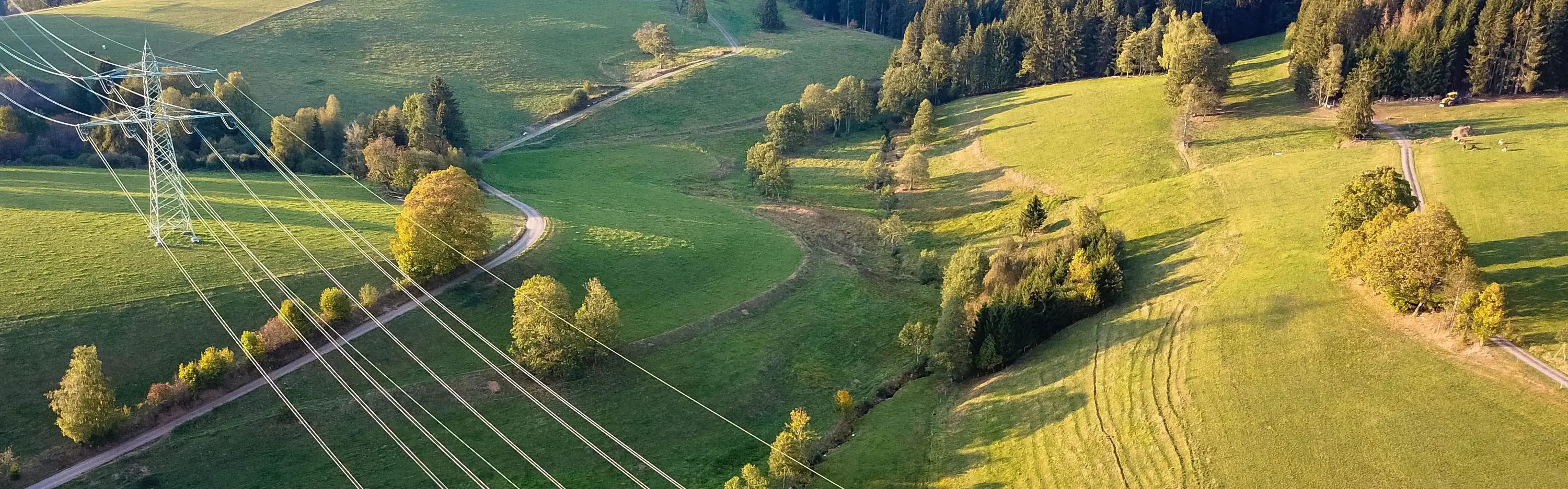 Das Bild zeigt Stromleitungen, die sich durch eine grüne, ländliche Landschaft mit Wiesen und Hügeln ziehen.