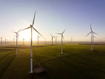 Mehrere Windkraftanlagen stehen auf einem grünen Feld bei tiefstehender Sonne und werfen lange Schatten.