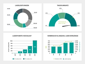 Diagramme zeigen Ladeleistungen, Umsatz, Ladepunktentwicklung und Verbrauchsdaten aus dem Bereich Elektromobilität.
