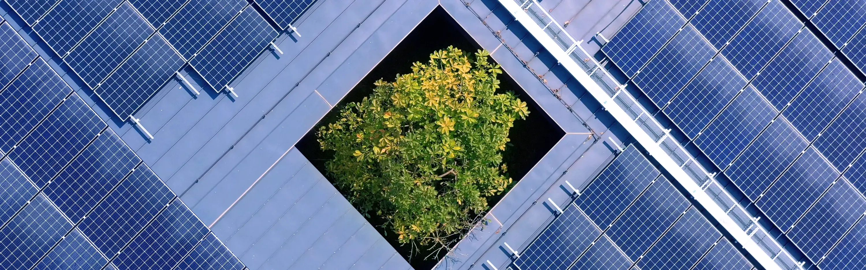 Ein Holzhaus wird gegen die Sonne gehalten und die die Sonnenstrahlen strahlen durch die Fenster.