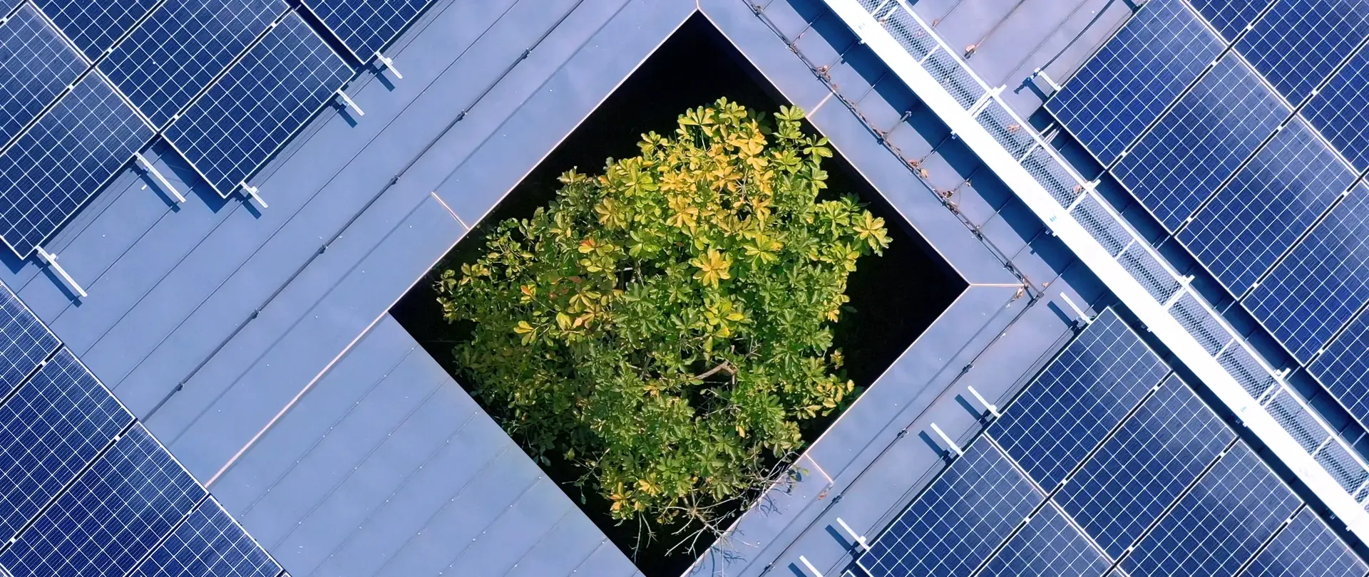 Ein Holzhaus wird gegen die Sonne gehalten und die die Sonnenstrahlen strahlen durch die Fenster.