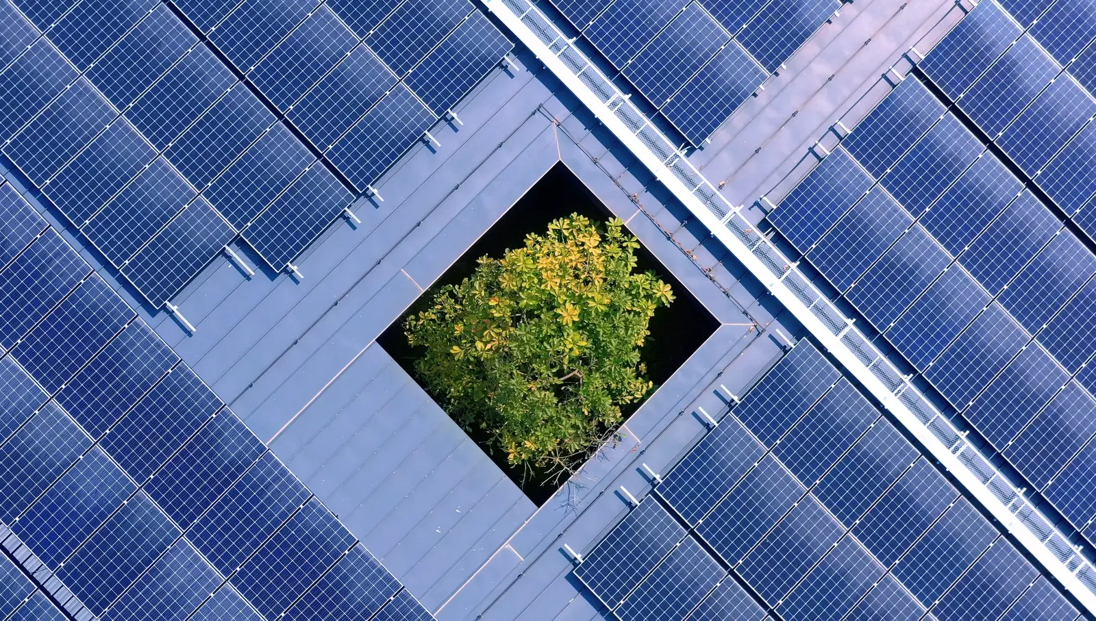 Energetische Optimierung von Unternehmen und Kommunen Ein Holzhaus wird gegen die Sonne gehalten und die die Sonnenstrahlen strahlen durch die Fenster.