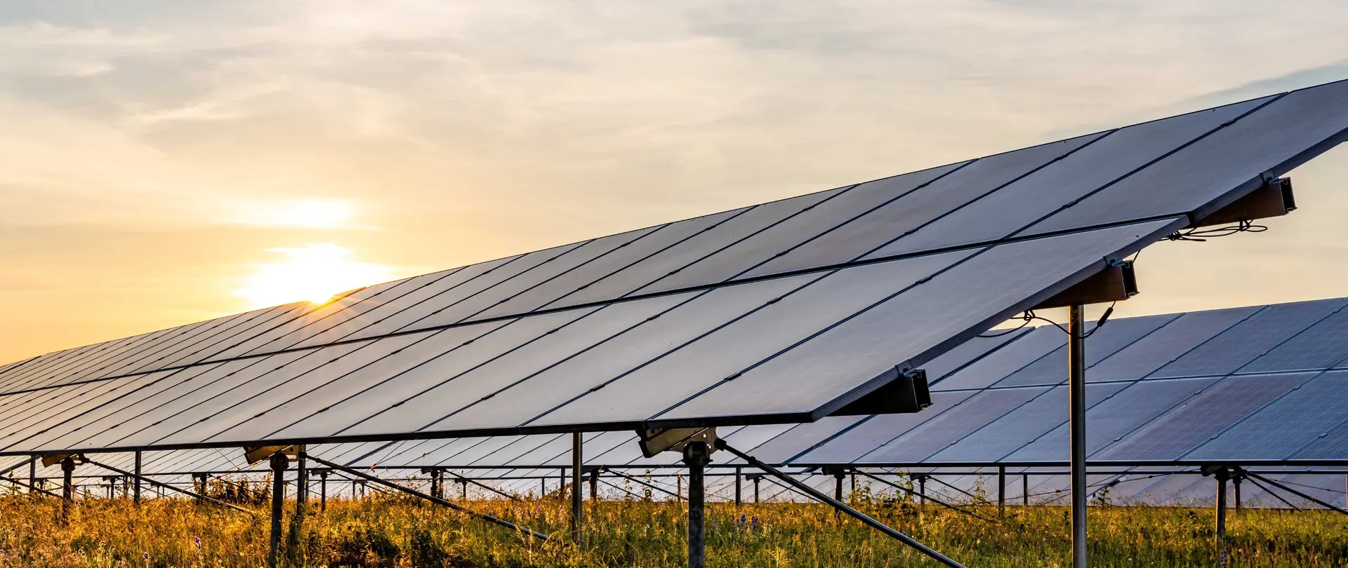 Eine Photovoltaik-Freiflächenanlage befindet sich auf einem Feld.