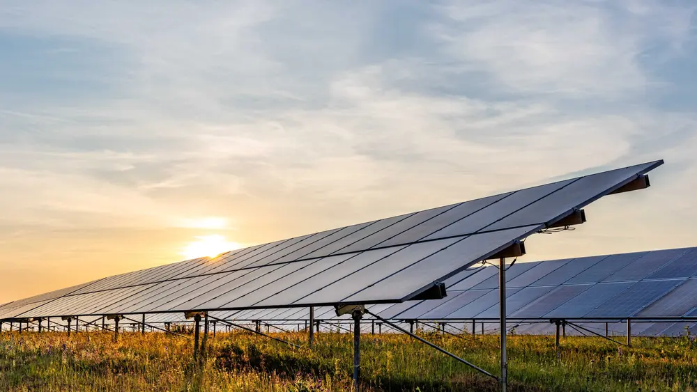 Eine Photovoltaik-Freiflächenanlage befindet sich auf einem Feld.