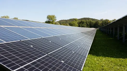 Solarmodule auf Freifeld