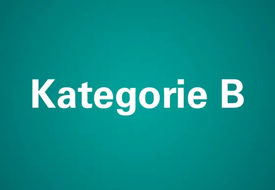quadratisches Bild mit dunkelgrünem Hintergrund und einem weißen Schriftzug Kategorie B
