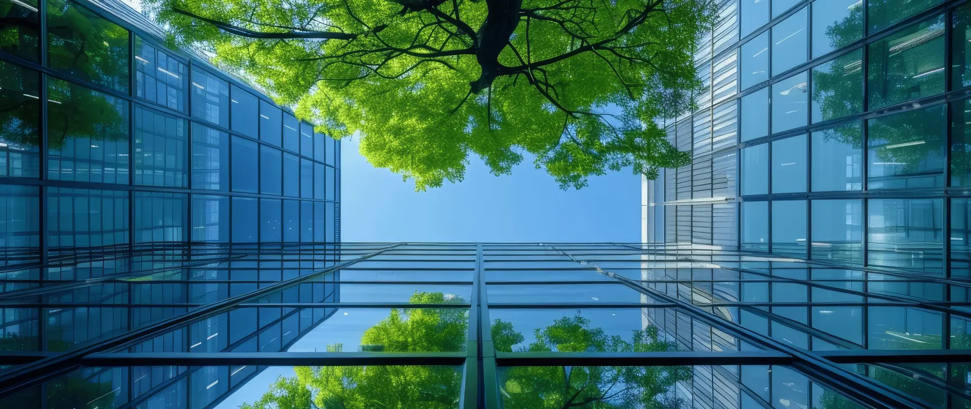 Baum spiegelt sich in Glasfassade