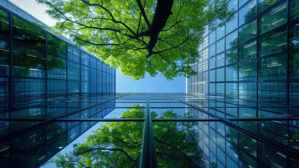 Baum spiegelt sich in Glasfassade