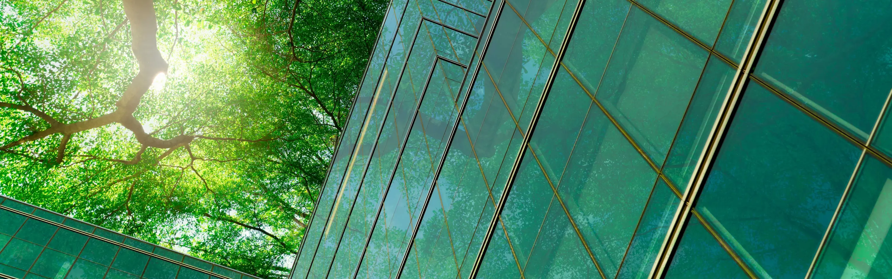 Ein Glashaus wird aus der Froschperspektive fotografiert und man sieht die Baumkronen über dem Gebäude.