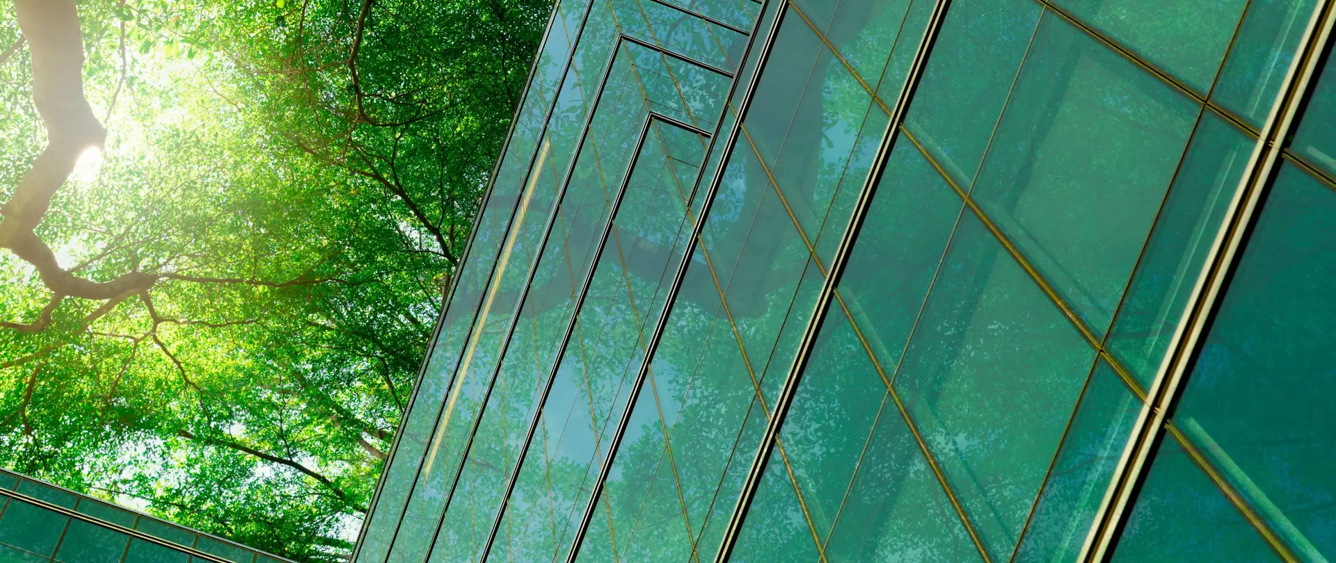 Ein Glashaus wird aus der Froschperspektive fotografiert und man sieht die Baumkronen über dem Gebäude.