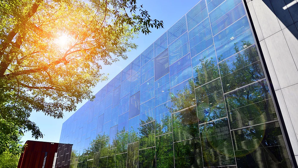 Man sieht ein modernen Gebäude mit Glasfront, der Himmel ist blau und die Sonne scheint durch eine Baumkrone durch