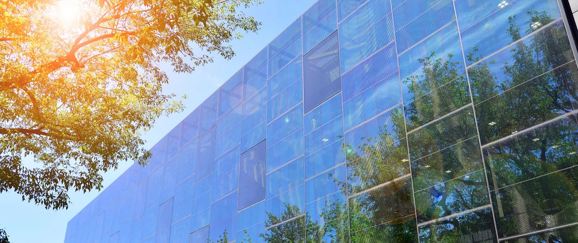 Man sieht ein modernen Gebäude mit Glasfront, der Himmel ist blau und die Sonne scheint durch eine Baumkrone durch