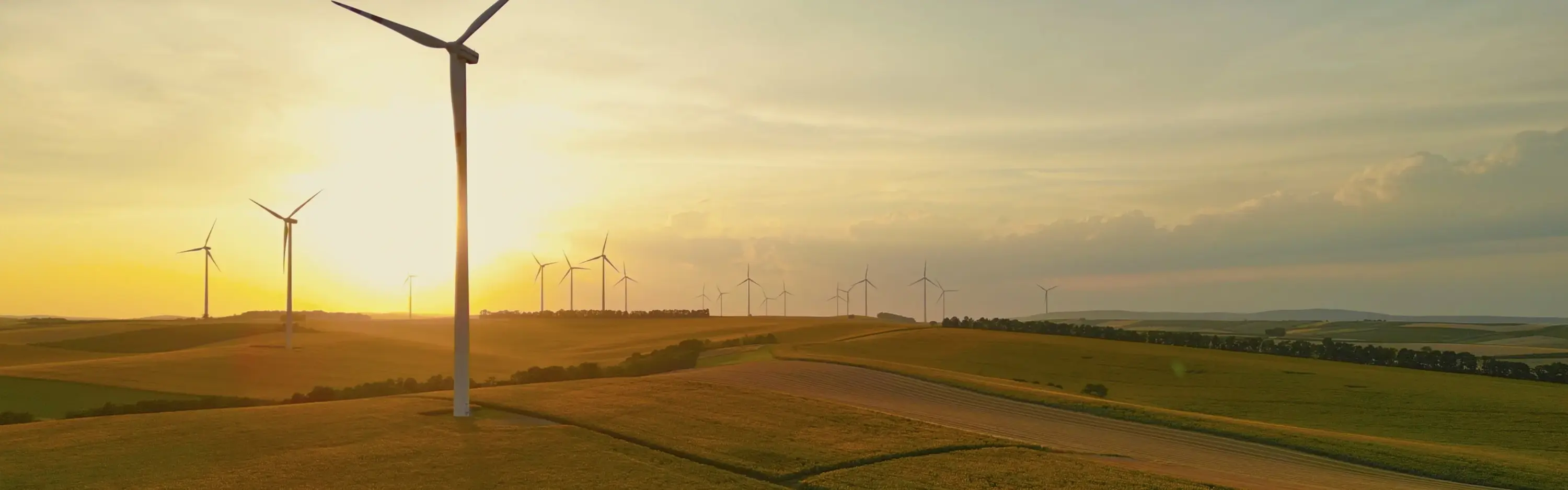 Windpark im Abendlicht