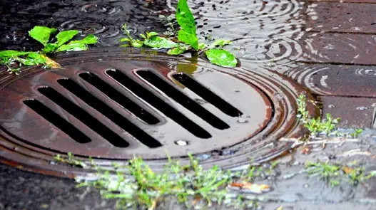 Gully im Regen.