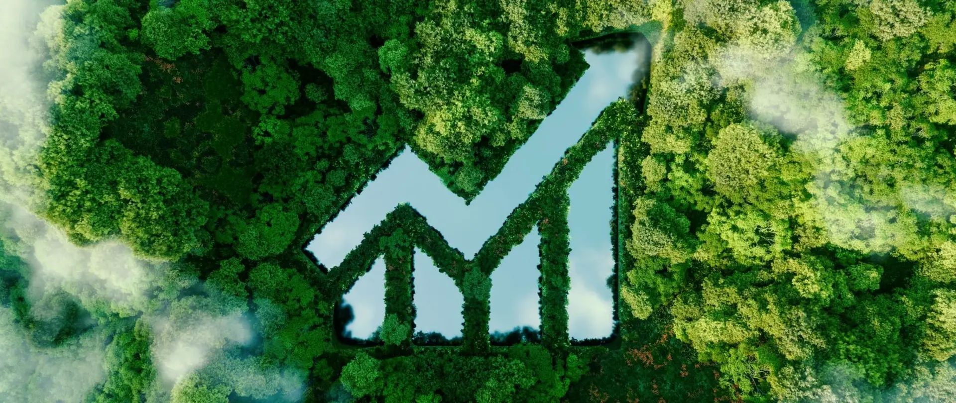 Luftaufnahme eines Waldes mit einer wassergefüllten Lichtung in Form eines Aufwärtspfeils.