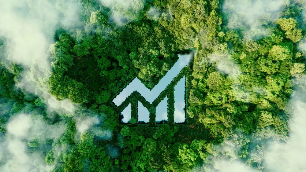 Luftaufnahme eines Waldes mit einer wassergefüllten Lichtung in Form eines Aufwärtspfeils.