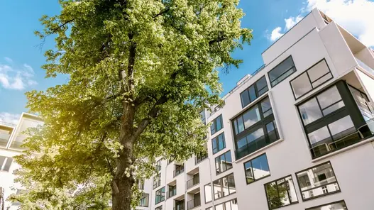 Modernes Mehrfamilienhaus neben grünen Bäumen