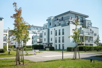 Modernes Mehrfamilienhaus Eine Siedlung mit neuwertigen Mehrfamilienhäusern und einer Grünanlage