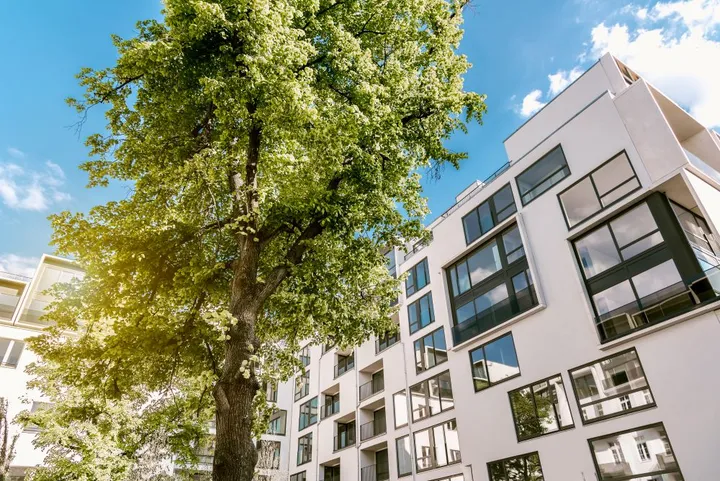 Ein weißes modernes Familienhaus mit schwarzen Fensterrahmen. Der Himmel ist blau und es steht ein großer Baum vor dem Haus