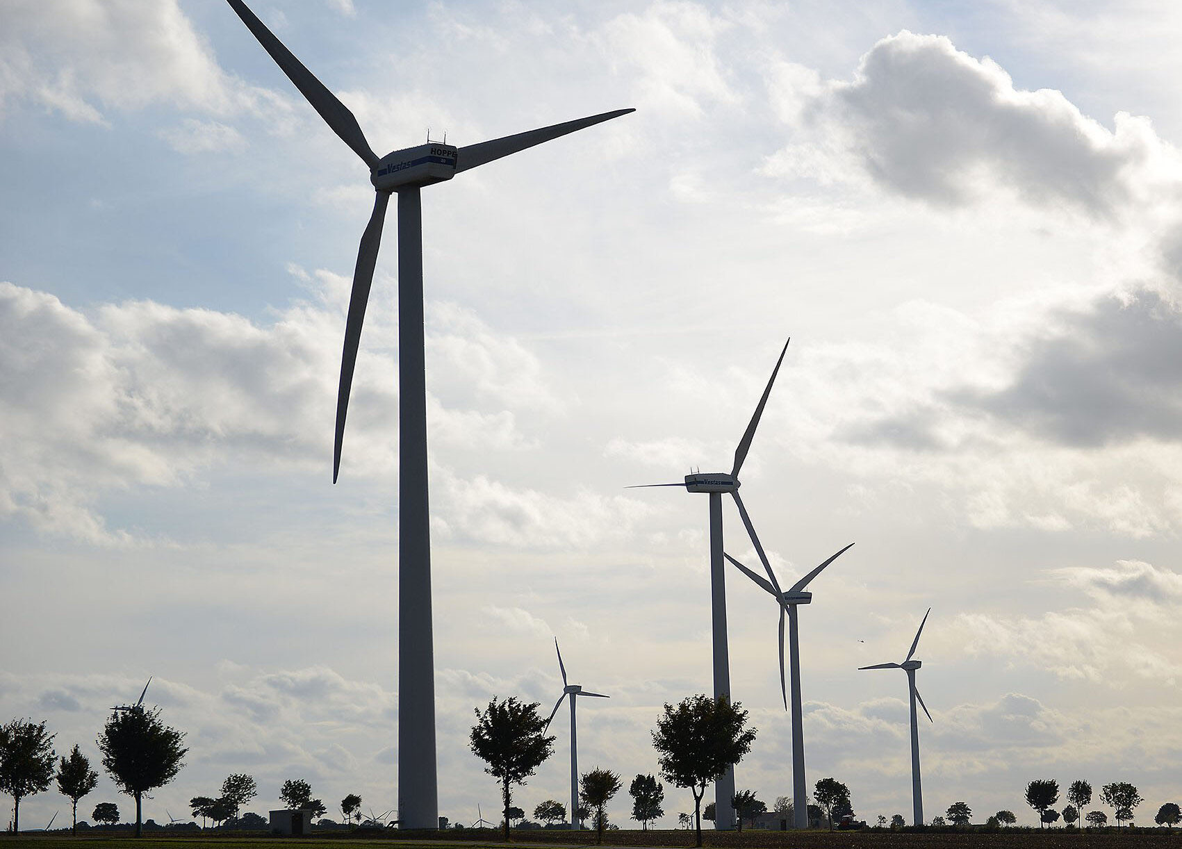 WW Einspeiser Windräder bei blauem Himmel umgeben von Bäumen