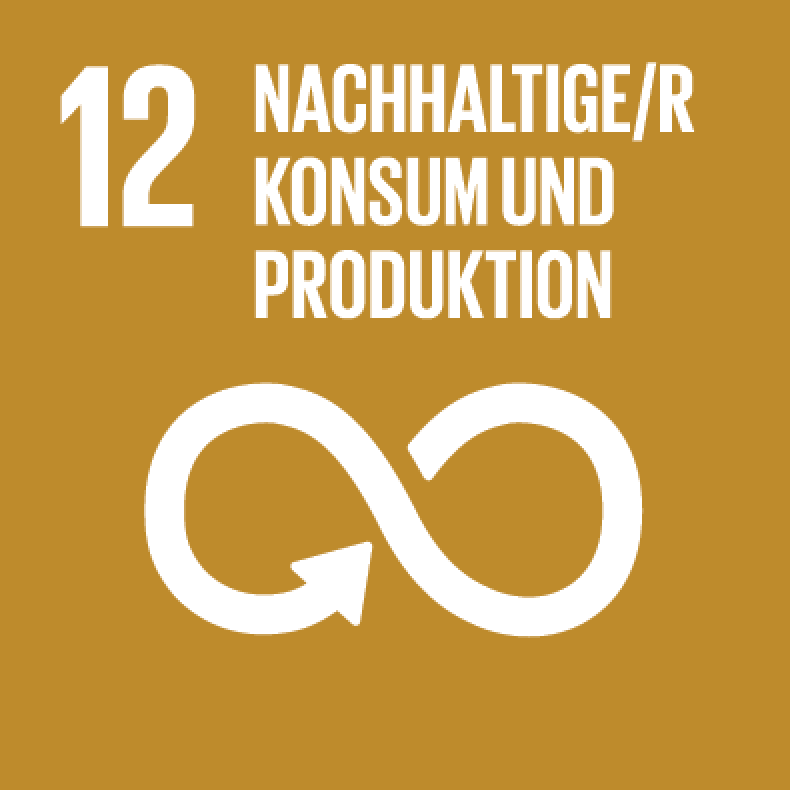 UN Ziele Nachhaltige/r Kosum und Produktion