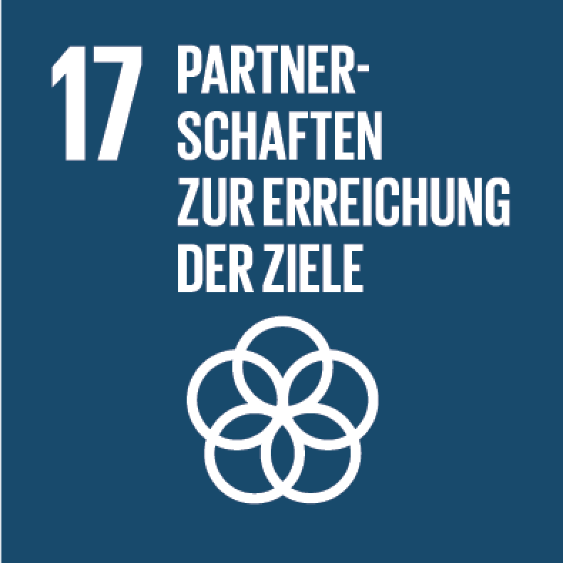 UN Ziele Partnerschaften zur Erreichung der Ziele